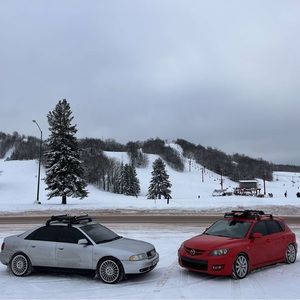 Meet your Posher, Clayton